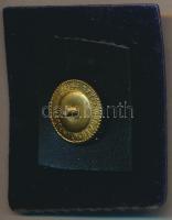 Lengyel Hajózási Vállalat DN. Krakkói Szállítmányozási szuvenír tiszti kitüntetés zománcozott tervez...