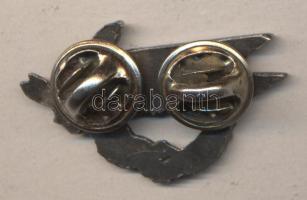 Lengyelország ~1940. Fegyveres Dandár fém jelvény T:1-
Poland ~1940. Rifle Brigade metal badge C:AU