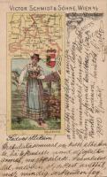 Salzburg, map and coat of arm, folklore, litho, Victor Schmidt und Söhne 4/2. (small tear)