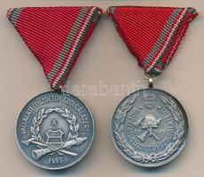 ~1970. Belügyminisztérium Tűzoltóság Országos Parancsnokság - Vállalati Tűzoltói Szolgálatért X és XV éves érdemérem szalaggal T:2