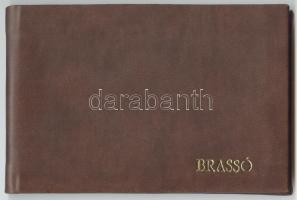 cca 1910 Brassó 12 képet tartalmazó leporelló-füzet műbőr borítással szép állapotban /
cca 1910 Bras...