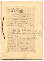 1895 Tione olasz nyelvű osztrák-magyart útlevél /  1895 Italian language passport issued in Tiento