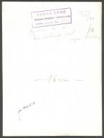 1943 Vadas Ernő (1899-1962): Gyilkos tó a Kis-Cohárdról nézve. Hátoldalt pecséttel jelzett 18x24 cm