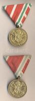 Bulgária 1933. Háborús emlékmedál "1915-1918" (2x) kétféle mellszalaggal T:1-,2 Bulgaria 1933. Commemorative Medal for the War of 1915-1918 (2x) with different ribbons C:AU,XF