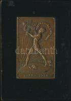 Faragó L. 1938. "Törekvés" réz plakett fa talapzaton (61x99mm) T:2