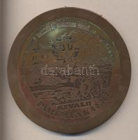 1975. "MSZMP Páncélos Gépjármű Technikai és Fegyverzeti Szolgálati Főnökségek Bizottsága - Kiváló Pártmunkáért" plakett műanyag foglalatban (124mm) T:2