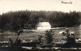 Homoród chapel photo