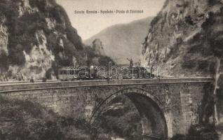 Nortosce bridge on the Norcia-Spoleto railway line