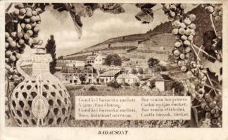 Badacsony IBOS bor (ázott / wet damage)