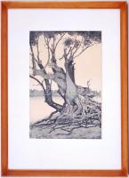Nyári Lóránt (1928-1982) Papszigeti fák (1975). Rézkarc, papír, jelzett, üvegezett keretben, 62×45 cm