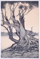 Nyári Lóránt (1928-1982) Papszigeti fák (1975). Rézkarc, papír, jelzett, üvegezett keretben, 62×45 c...