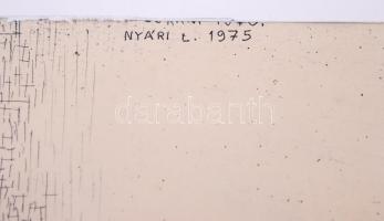 Nyári Lóránt (1928-1982) Papszigeti fák (1975). Rézkarc, papír, jelzett, üvegezett keretben, 62×45 c...