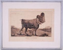 cca 1800 A párizsi Boeuf a la mode étterem reklámja. Kőnyomat. Paszpartuzva, keretben / 
cca 1800 Ad...