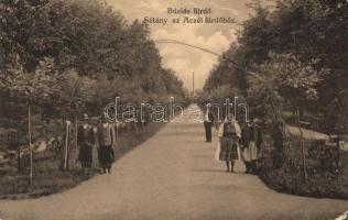 Buziásfürdő promenade to the spa (EB)