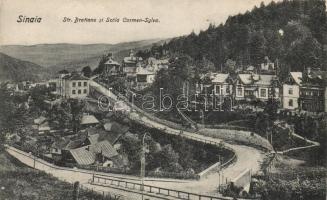 Sinaia Bratianu street, school