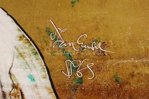 Szász Endre (1926-2003): Hölgy tollas kalapban. Olaj, karton, jelzett, 32,5x40cm