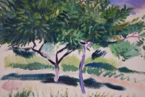 Vinkler László (1912-1980): Fák a Stefánián. Olaj, papír, üvegezett keretben, 53x63cm