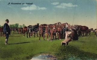 Hungarian folklore, herd