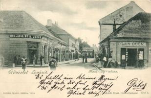 Léva Kazinczy street, the shops of Weil and Klain (EB)