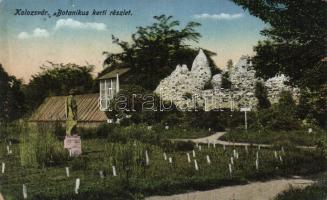 Kolozsvár botanical garden (small tear)