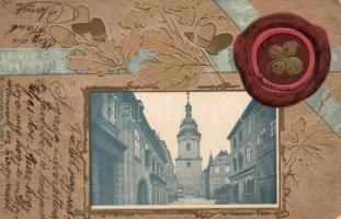 Krems Steiner Tor, gate Emb. litho