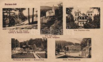 Borszék, Borsec; Hirsch és Tischler villa, Mélik szálloda, zenepavilon, Római katolikus templom / villas, hotel, music pavilion, church  (fa)