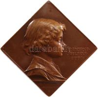 Ausztria 1916. "Habsburg Ottó" Br csegely (55x55mm) szign.: H. Kautsch T:2,2- Austria 1916. "Otto von Habsburg" Br klippe (55x55mm) sign: H. Kautsch C:aXF