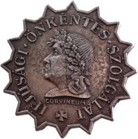 ~1930. "CORVINEUM Ifjúsági Önkéntes Szolgálat" horgany jelvény (40mm) T:2 (tű javítva) Hungary ~1930. "CORVINEUM Youth Volunteer Service" zin badge (40mm) C:XF (pin fixed)