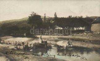 Hungarian folklore, ox cart (fa)