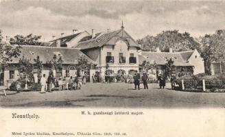 Keszthely Gazdasági Intézet majora