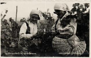 Bulgarian folklore, grape harvest