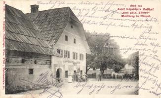 Wartberg bei Mürztal, Hotel zum Goldenen Löwen