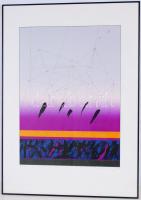 Bodóczky István( 1943-): Fű dobogás. Szitanyomat 24/30, papír, jelzett, üvegezett keretben 70×50 cm