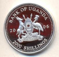 Uganda 2006. 2000Sh Ag "A labdarúgás halhatatlanjainak csarnoka - Hollandia 1990-es évek" ...