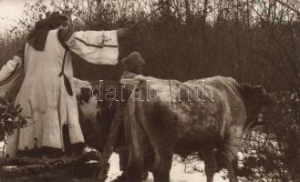 Romanian folklore, cowherds