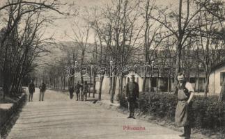 Piliscsaba, út katonákkal (ázott / wet damage)