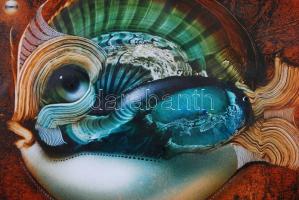 Végvári Tamás (1962-): Hal. Olaj, műanyaglemez, jelzett, üvegezett keretben, 26×26 cm