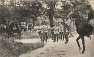 Piliscsaba, dandár jelentése (ázott / wet damage)