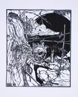 Kőnig Róbert (1951- ): Dort drunt an der Donau. Graphiken von Robert König zur Geschichte der Ungarn...