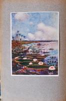 Gáspár Ferencz: A Föld körül. I. kötet /Előszó: Vámbéry Ármin./ 1906 Singer és Wolfner, /Hornyánszky...