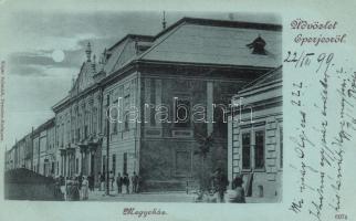 1899 Eperjes county hall