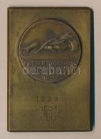 Berán Nándor (1889-1965) 1939. "Magyar Gyorsírók Országos Szövetsége 1925" Br plakett (83x58mm) T:2