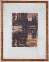 Gyenes Lajos (1890-1971): Tópart, rézkarc-papír, jelzett, keretben 33x25cm