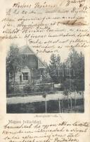 Magura "Honfoglalás" villa / Villa "home conquest" (fa)