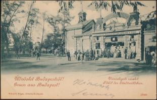 1899 Budapest XIV. Városliget, első budapesti Varieté Színház (small tear)