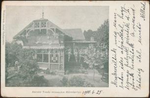 Budapest XVI. Mátyásföld, Antony Tamás nyaralója (small tear)