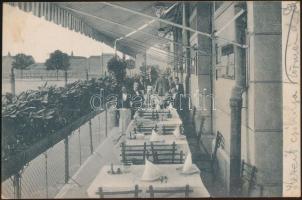 Budapest II. Mayer Pál Pálffy étterme (fl)