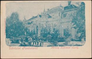 Pankota Sulkowksy castle