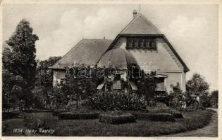 Albertirsa Irsay kastély (fa)