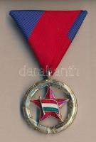 1947. "A Magyar Köztársasági Sport Érdemérem ezüst fokozata" zománcozott ezüstözött kitüntetés mellszalagon T:1